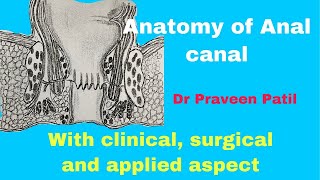 ANATOMY OF ANAL CANAL  APPLIED  SURGICAL ANATOMY [upl. by Skrap]