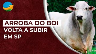 Arroba do boi volta a subir em SP movimento se espalha [upl. by Row]