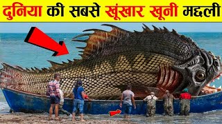 😱OMG😱 Most Dangerous creatures In Sea  कमज़ोर दिल वाले ना देखें [upl. by Nauqad]