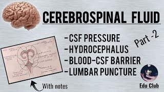 Cerebrospinal Fluid  Part 2 With QNA on PG Entrance Examinations [upl. by Nicole]