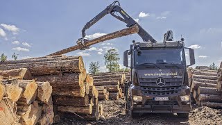 Eine Königsdisziplin für LKWFahrer Riesige Baumstämme werden auf engen Waldwege transportiert [upl. by Januarius]