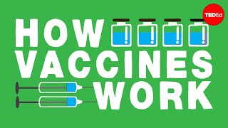 How do vaccines work  Kelwalin Dhanasarnsombut [upl. by Bores]