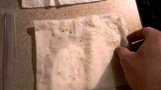 How To Germinate Seeds in a Paper Towel [upl. by Nimoynib]