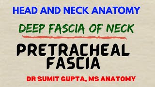 DEEP CERVICAL FASCIA  PRETRACHEAL FASCIA [upl. by Acinyt441]