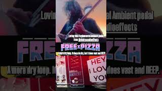 Walrus audio Fundamental Ambient freexpizza walrusaudio guitar ambient riffs fundamental fyp [upl. by Pollerd]