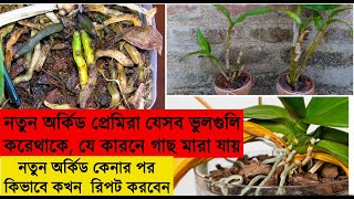 নতুন বাগান প্রেমিরা অর্কিড কিভাবে লাগাবেন এবং পরিচর্যা কিভাবে করবেন  যে ভুলের কারনে অর্কিড মারাযায় [upl. by Peace133]