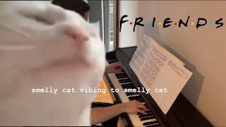 Phoebe Buffay  Smelly Cat on piano just because [upl. by Anoid]