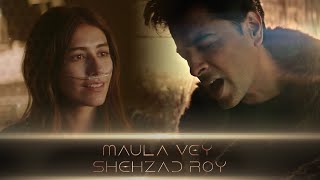 Maula Vey by Shehzad Roy  Syra Yousuf  Shany Haider  Ahsan Rahim  Official Video [upl. by Brainard]