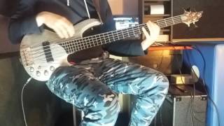 Dino Dvornik  Afrika  Bass cover [upl. by Ob]