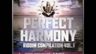 Perfect Harmony riddim medley vol1  prod by Partillo february 2011 [upl. by Audun]