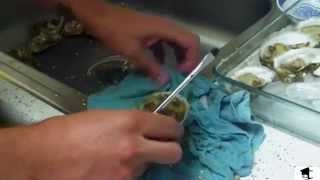 How To Shuck Oysters With A Screwdriver [upl. by Rennane]