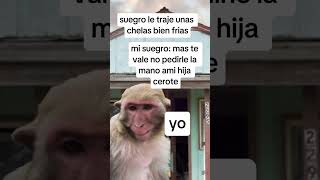 chistes memesvideo paratii humormemes [upl. by Htebilil]