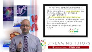 Linkage and Mapping Linkage and Mapping in Fungi tutorial [upl. by Virginia]