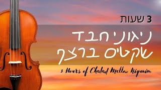 ניגוני חבquotד שקטים ונעימים ברצף  3 שעות  Chabad Mellow Nigunim Setlist  3 Hours [upl. by Suivatnad883]