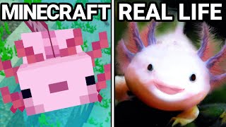 30 Minecraft Items VS Real Life [upl. by Jacquenette]