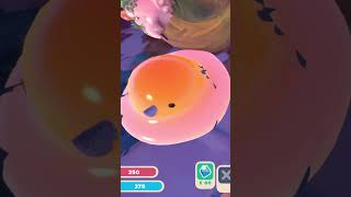 🍳 SLIME HUEVO ESTRELLADO 🍳  SLIME RANCHER 2 [upl. by Eneliak]