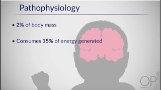 Therapeutic Hypothermia Treatment of Hypoxic Ischemic Encephalopathy Part 1 by D Casey [upl. by Nylaehs]