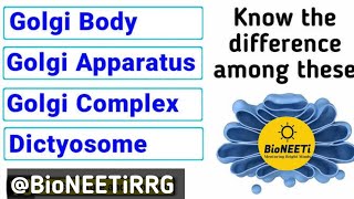 Golgi Body or Apparatus or Complex  Endomembrane System  Cell Unit Of Life [upl. by Asilanom]