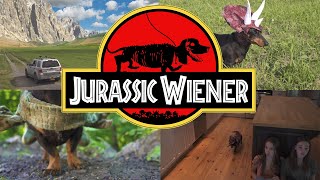 Ep 1 quotJurassic Wienerquot  Dachshund Dinosaurs [upl. by Hauhsoj]