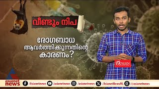 വീണ്ടും നിപ രോഗബാധ ആവര്‍ത്തിക്കുന്നതിന്റെ കാരണമെന്ത് [upl. by Oakman976]