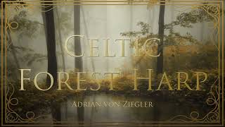 1 Hour of Relaxing Celtic Forest Harp [upl. by Hekker]