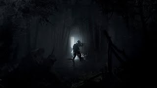 Hunt Showdown 1896  Bartholomew [upl. by Yeznil]