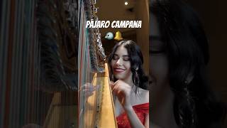 Pájaro Campana Indio Rubio  Larissa Ledesmaya la escucharon arpaparaguaya arpa pajarocampana [upl. by Eednas]