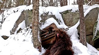 Solo Winter Bushcraft Camping Natural Primitive Shelter  Fur Blanket Campfire Cooking  Overnight [upl. by Nemsaj]