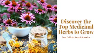 Discover the Top Medicinal Herbs to Grow Your Guide to Natural Remedies [upl. by Eceinahs]