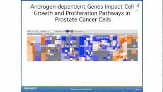 Transcription factor activation amp inhibition in microRNA mRNA amp RNASeq cancerrelated experiments [upl. by Oaoj]