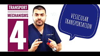 Transport mechanisms 4 Vesicular transportation [upl. by Enimrej541]