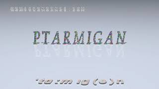 ptarmigan  pronunciation [upl. by Murage]