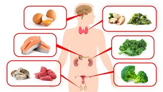 Fix Your HORMONES with the Right FOOD [upl. by Aicelef]