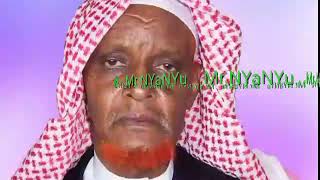 New oromo shek TamamaManzuma [upl. by Farly]