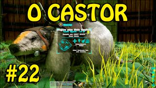 ARK SURVIVAL EVOLVED XBOX ONE  O CASTOR SOBREVIVENDO NA SELVA 22 [upl. by Eliathas]