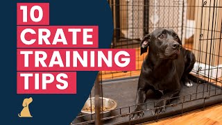 Crate Training Tips  10 Hacks To Help Your New Puppy Love The Crate [upl. by Burta]