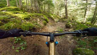 Pyrenees  MTB  Trail Eth Sanglier  Chunky rocks slippery roots and a million of tight corners [upl. by Ennaitsirk]