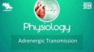 L8 Adrenergic transmission Physiology [upl. by Harley356]