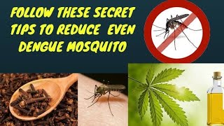 BEST HOME MANTRA REMEDY For Killing amp RAINY SEASON DENGUE MOSQUITO  NATURAL INGREDIENTS BENEFITS [upl. by Lobell]