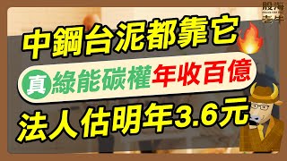 【定存股】中鋼台泥都靠它，真‧綠能碳權年收百億，法人估明年36元｜《老牛夜夜Talk》EP178 [upl. by Aihseym]