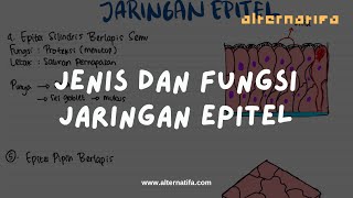 Jaringan Epitel Jenis Jaringan dan Fungsinya [upl. by Attevaj]