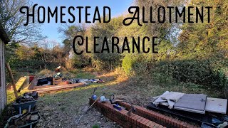 Homestead Allotment Clearance overgrown garden plot [upl. by Annalee]