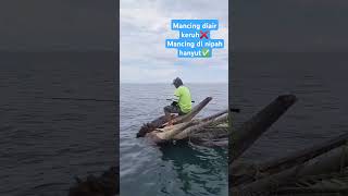 Mancing di Nipah Hanyut fishing angler adrenalin rumponalami tesnyali sarangikan spearfishing [upl. by Gannon]