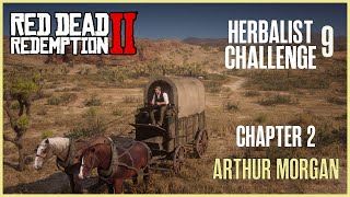 Red Dead Redemption 2  Herbalist Challenge 9 Arthur Morgan Chapter 2 [upl. by Roxana]