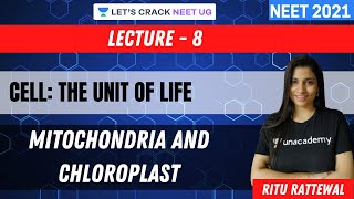 Phoenix 20 Biology Most Important Video for NEET 2025  Udaan [upl. by Millie]