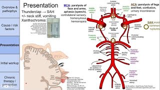 Stroke cerebrovascular accident CVA [upl. by Alvar604]