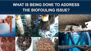 What is ultrasonic antifouling How does it work [upl. by Rafaj]