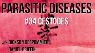 Parasitic Diseases Lectures 34 Cestodes [upl. by Hamil]