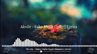 Akvilė  Sako Meilė Gydo Bäsello remix  Lyrics [upl. by Gilbye149]