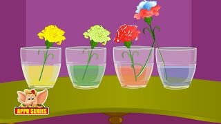 Learn Science through Home Experiments  Drinking Plants [upl. by Severson]